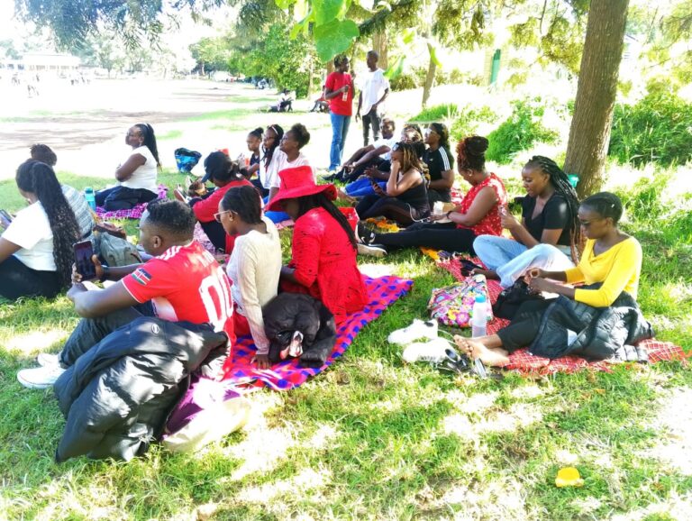 Outdoor picnic event